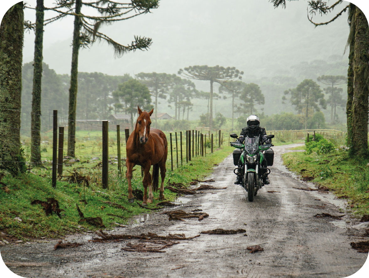 Imagem 4