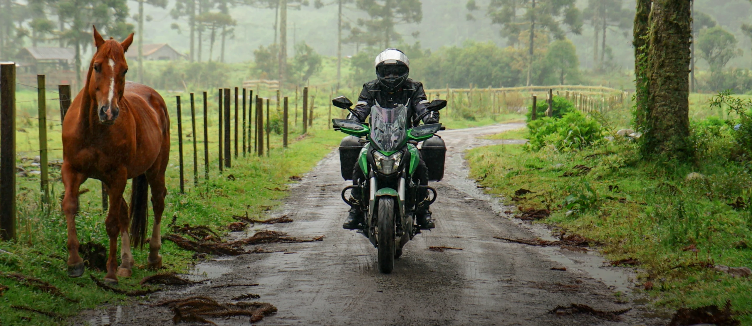 REIMAGINE YOUR RIDE